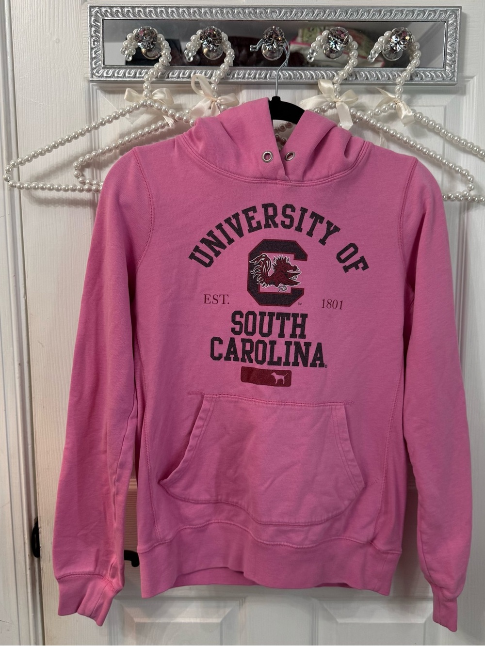 Vintage University of South Carolina Pink Hoodie Sweatshirt USC